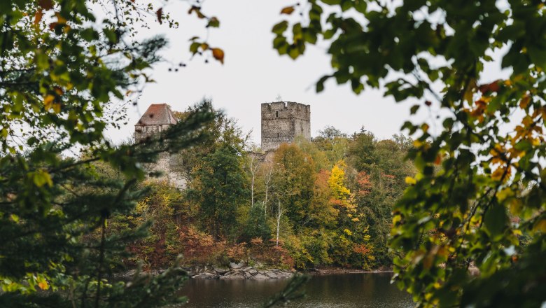 Ottenstein reservoir - view of the Lichtenfels ruins, &copy; Line Sulzbacher