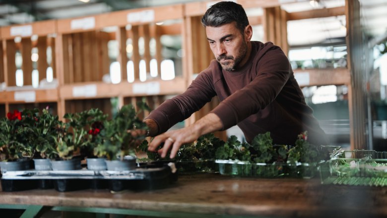 Starkl kalandkert, &copy; Moststra&szlig;e, dochbodnliacht