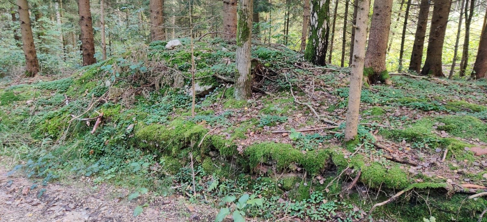 Auberg-út