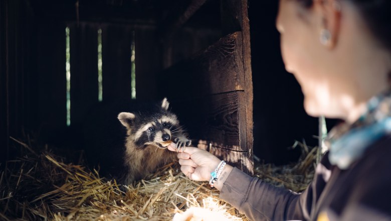 0080_Moststraße_Tierpark-Stadt-Haag_20250929-7683-001, © Moststraße, dochbodnliacht