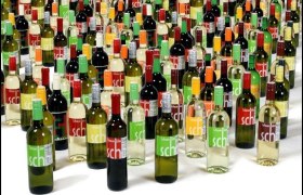 Viticulture Schauerhuber, &copy; Julius Schauerhuber