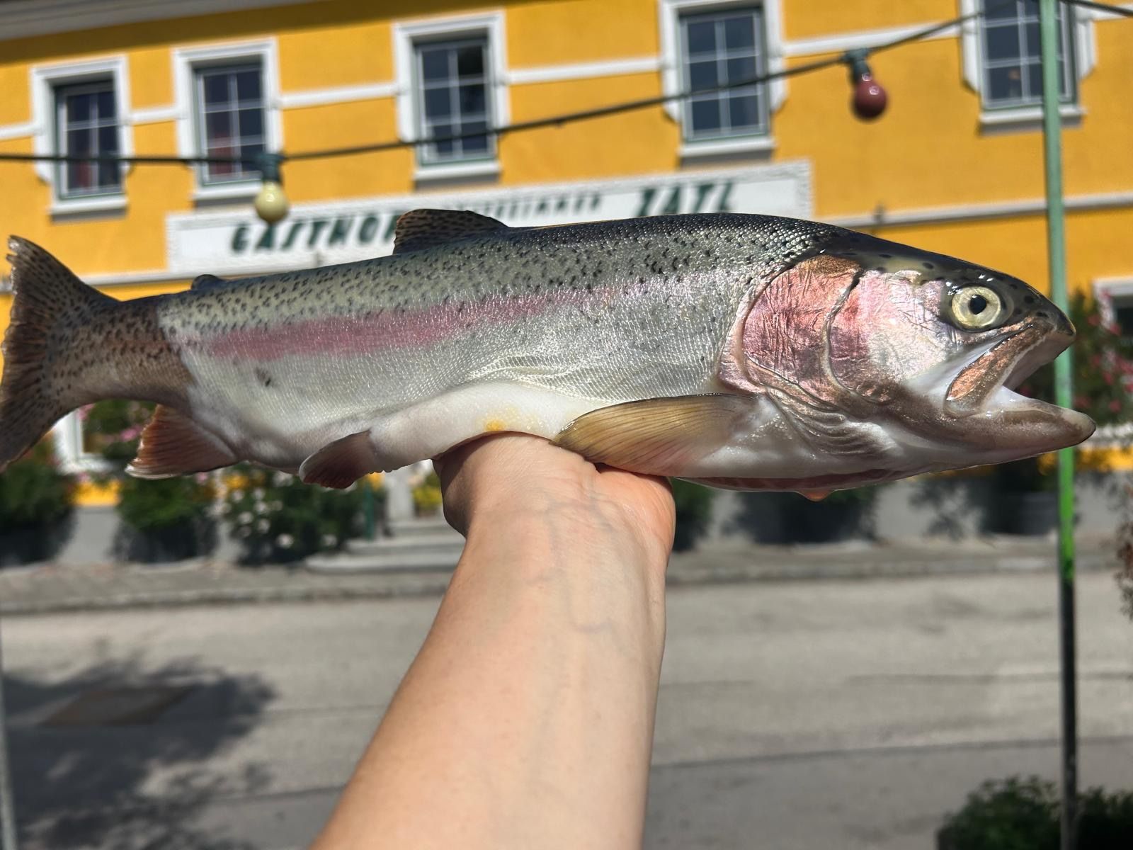 A Zatl vendéglő előtt egy ember tartja a kezében a frissen kifogott pisztrángot. 