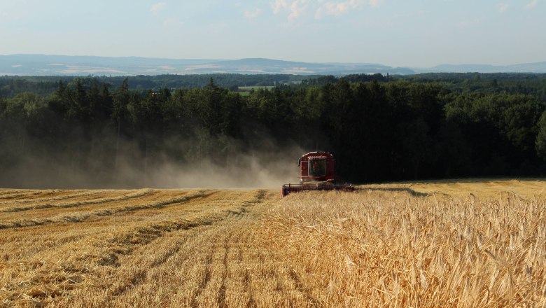 Harm Cider & fruit juice, &copy; Silvia Harm