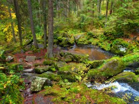 Lohnbachfall, &copy; Waldviertel Tourismus