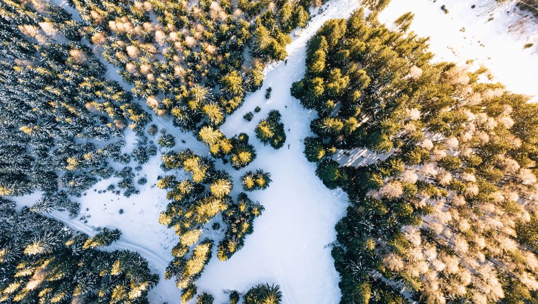 Nestelberg 17 (c)Marlene Schindlegger (70), © Sabine Wieser