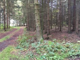 Wanderweg Nr. 30, Eichen und Eulen, &copy; Gemeinde Allentsteig