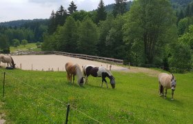 Kjelli's riding stable, &copy; Kjelli&acute;s Reiterhof