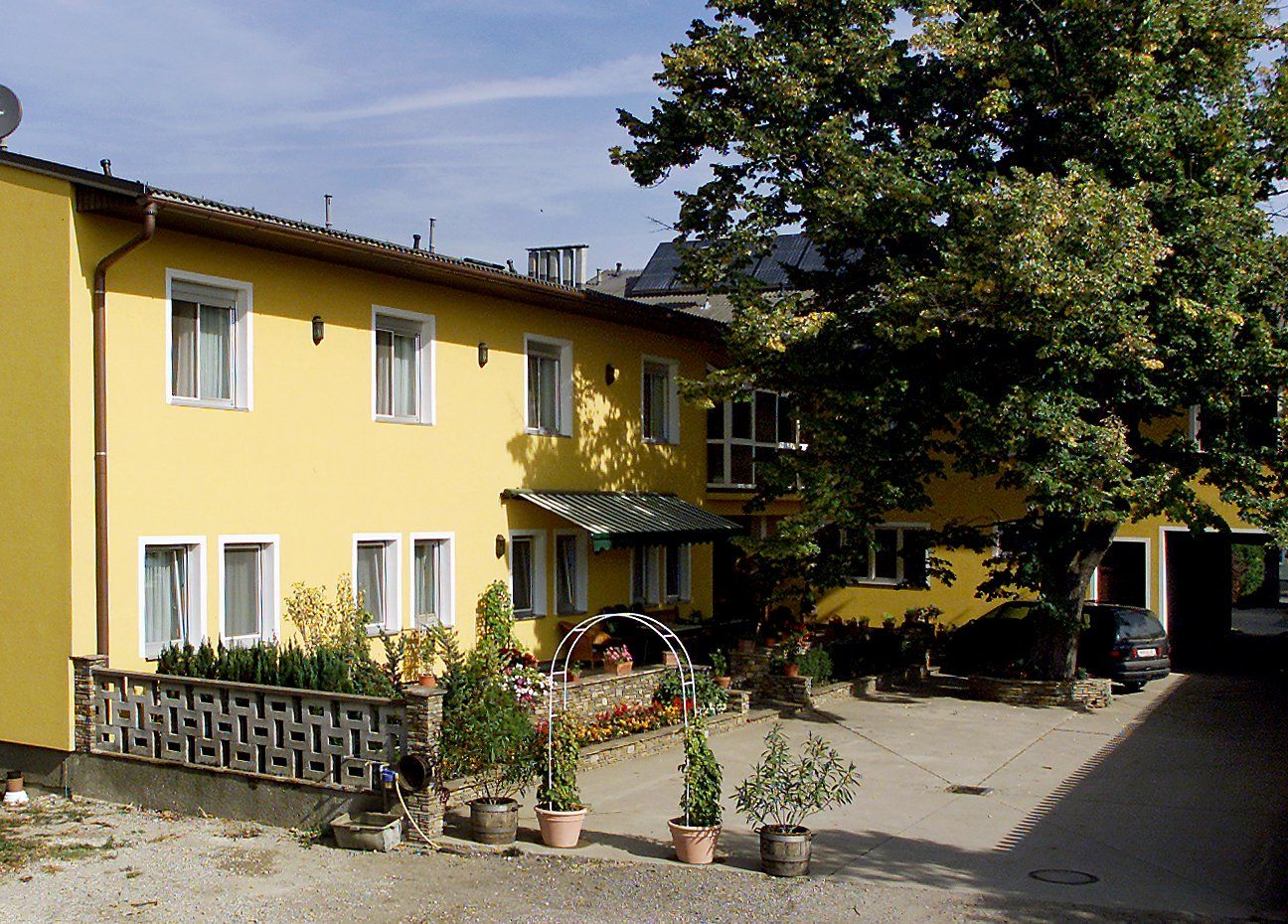 Sárga épület több ablakkal, növényekkel az előtérben és egy nagy fával mellette.