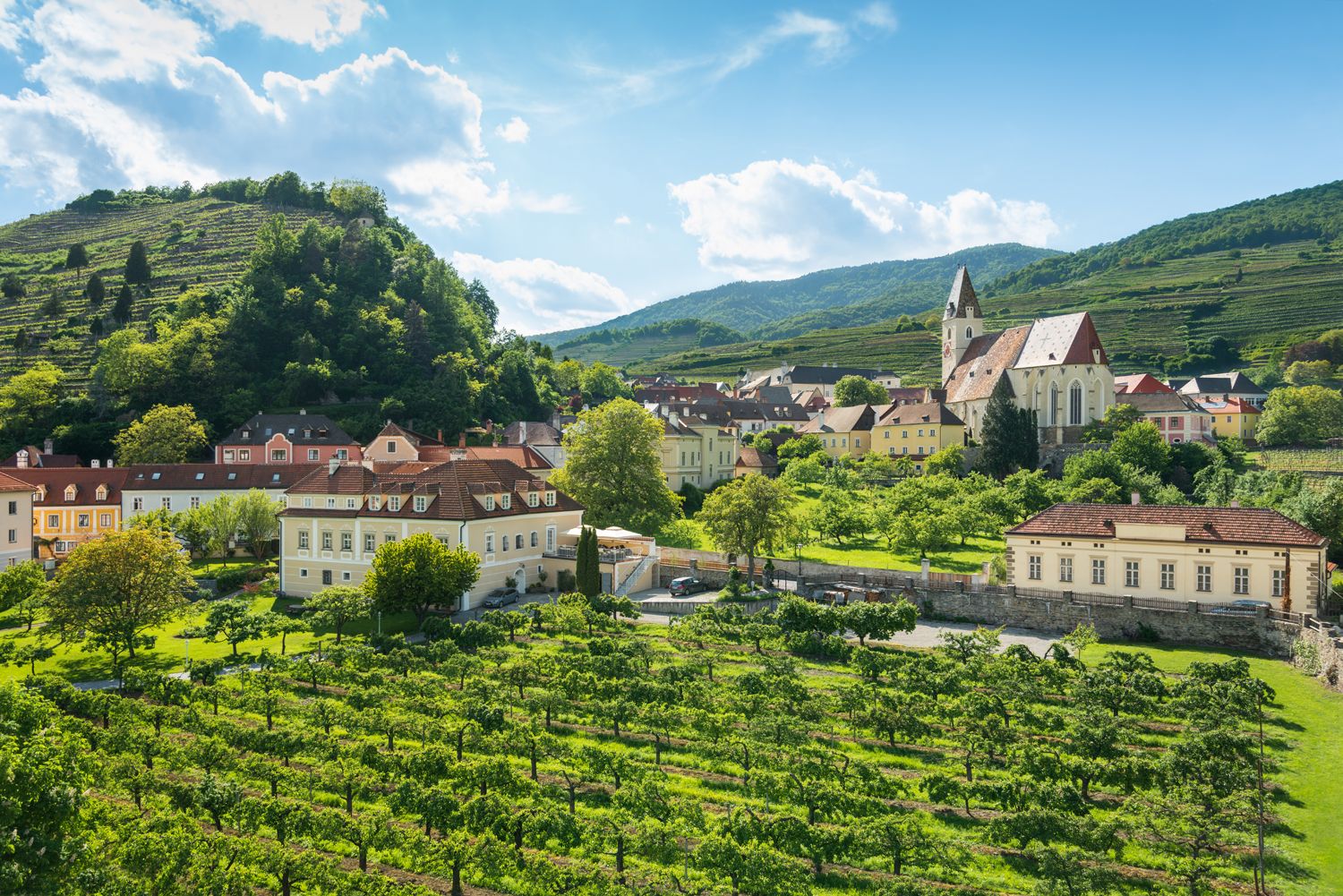 Tájkép szőlővel, templommal és házakkal Spitzben, Ausztriában.