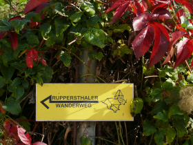 Ruppersthaler Wanderweg, © Marktgemeinde Großweikersdorf