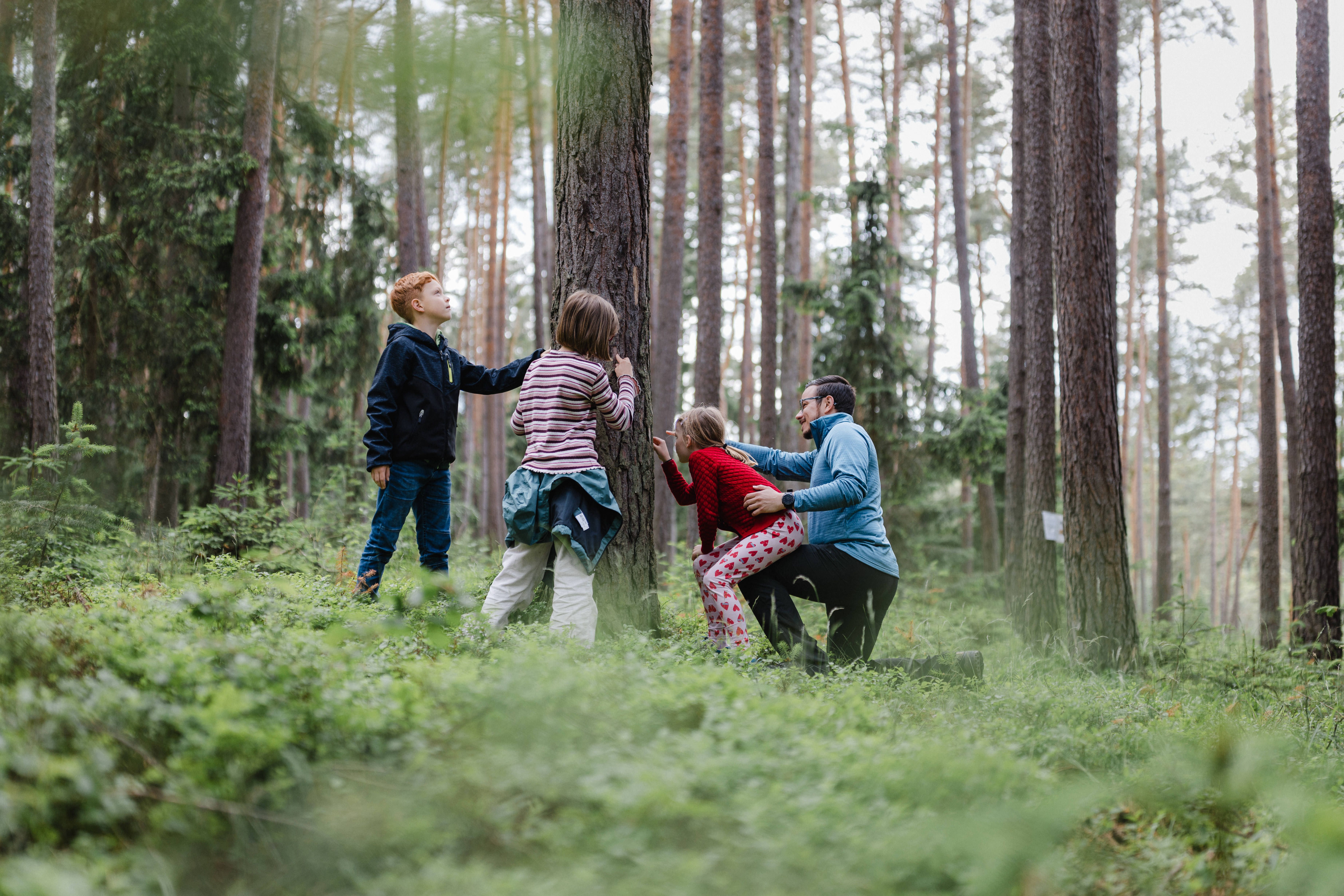 Egy csoport gyerek és egy felnőtt az erdőben egy fát néz.