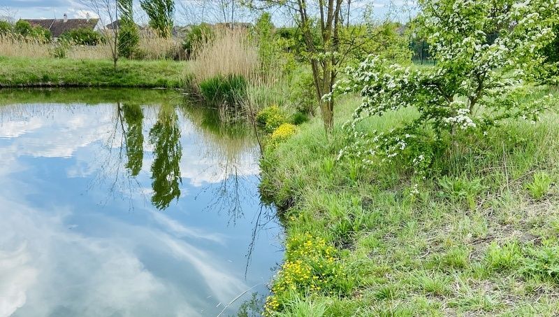 Watzelsdorf vízi világ