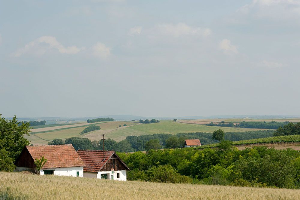 Tájkép mezőkkel, fákkal és két kis házzal, piros tetővel.