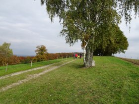 Hamesbergh&ouml;he, &copy; Mostviertel