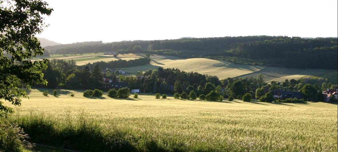Tájkép mezőkkel, fákkal és házakkal a háttérben.