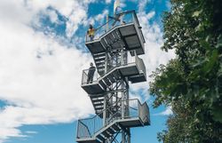 Közelkép piros bogyókról egy csupasz ágon, a háttérben hó.