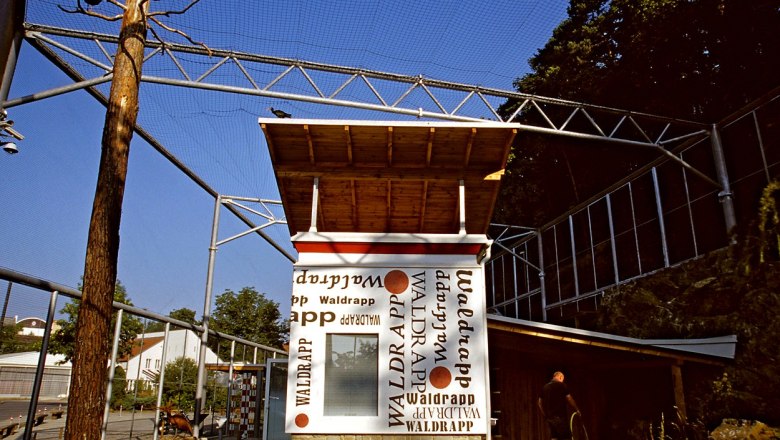 Waldrapp Waidhofen, &copy; Verein Waldrapp