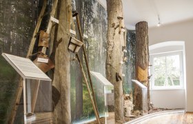 Pitch Museum, &copy; Corinna Pernitsch