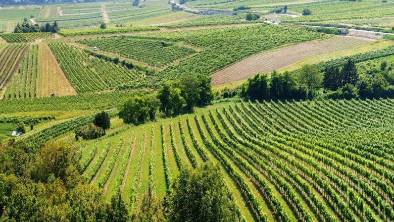 Kilátás az Eichkogelről a Bécsi-erdőben, © Paul Landl