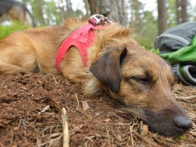 Sidestep sziklakert, &copy; Waldviertel Tourismus