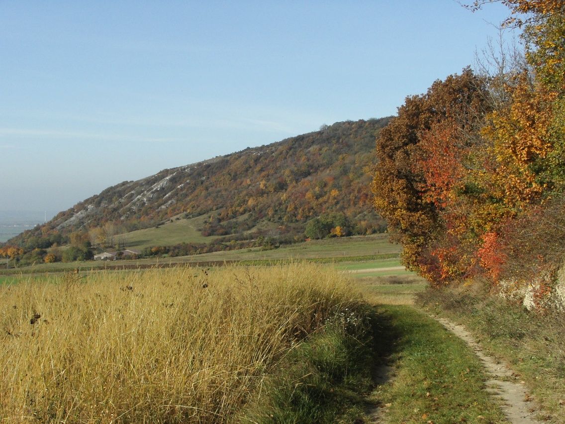 Hundsheim-hegység
