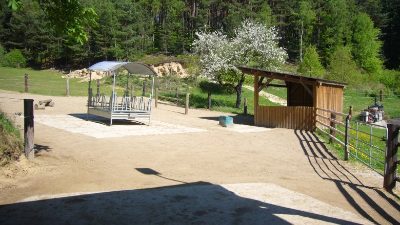 Horse farm run, &copy; Pferdehof Kurzmann