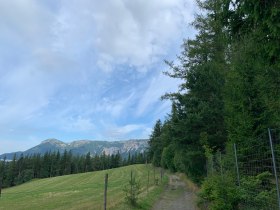 Wanderweg zur Speckbacherh&uuml;tte, &copy; Wiener Alpen in Nieder&ouml;sterreich