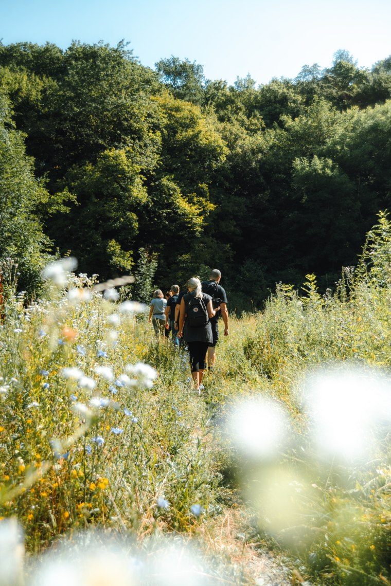 Túrázás a Tulbingerkogelre., © Wienerwald Tourismus/Louis Geister