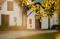 Zöld szőlőskert és egy túrajelzés "Pincesor Arbesthal" felirattal. 