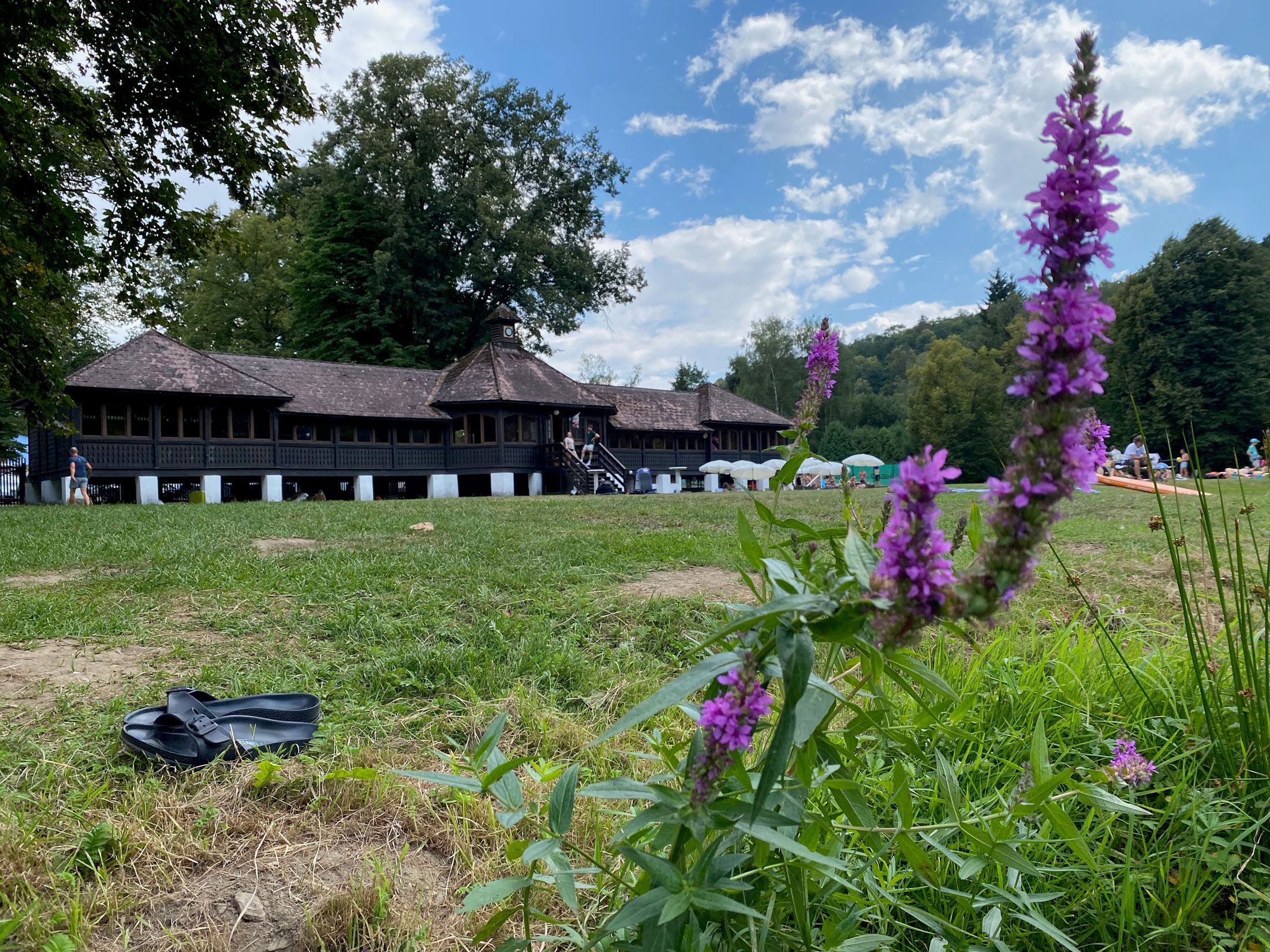Háttérben egy hagyományos faépület, előtérben lila virágok egy réten.