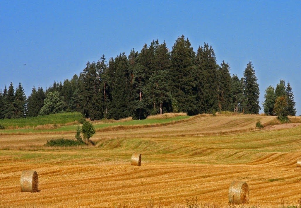 Szalmabálák