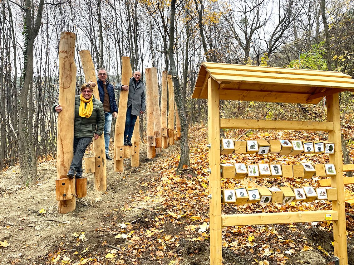Természetvédelmi park az erdőben - Josefspark 5