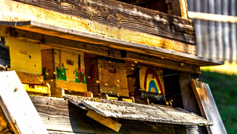 Farm's own honey and flower pollination, © Einkehrhof Poggau