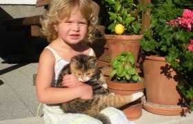 Hadd simogassalak, kicsi macska, © Ferienhof Salcheck