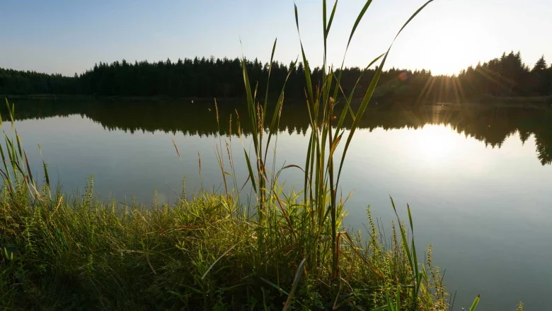 Sky pond near Ottenschlag, &copy; Matthias Schickhofer