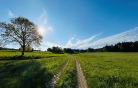 Preinreichs, © Unknown