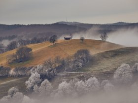 T&eacute;li t&uacute;r&aacute;z&aacute;s, &copy; Wienerwald Tourismus GmbH / Andreas Hofer