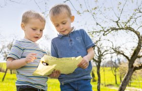 Organic farm Zillach, &copy; Theo Kust
