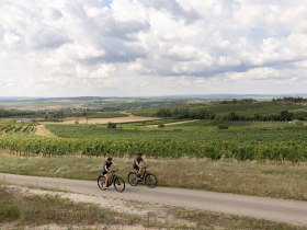 Radfahren, Weinviertel, Retzer Land, &copy; Weinviertel Tourismus/Markus Fr&uuml;hmann