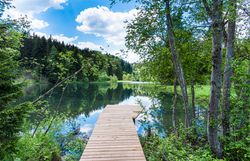 Légi felvétel egy modern, zöldtetős házról, amelyet erdő és tó vesz körül.