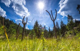 Tematikus &aacute;llom&aacute;s f&aacute;b&oacute;l k&eacute;sz&uuml;lt figur&aacute;kkal