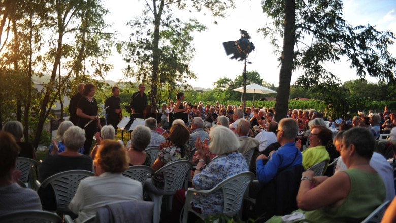 Szabadt&eacute;ri koncert zenekarral &eacute;s k&ouml;z&ouml;ns&eacute;ggel naplementekor.