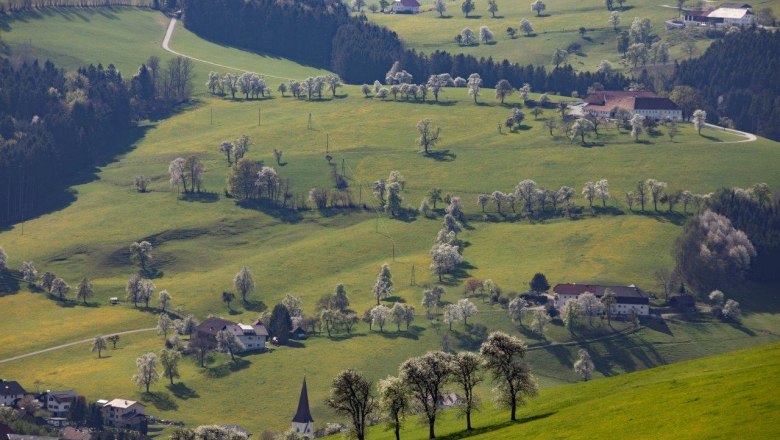 Photo point Mostviertel, &copy; schwarz-koenig.at
