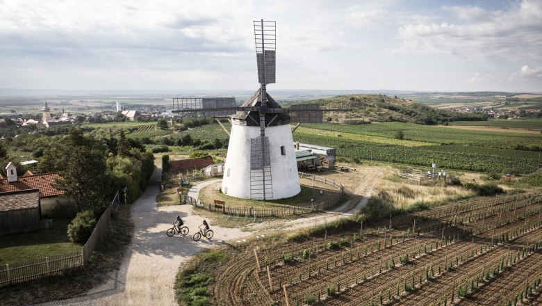 Retz windmill, &copy; Weinviertel Tourismus GmbH / Fr&uuml;hmann