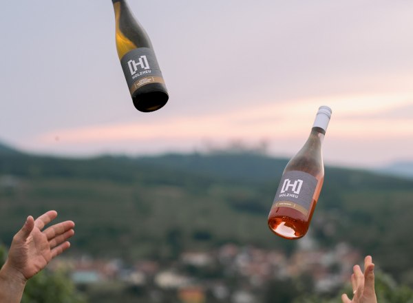 Holzheu Weinhof 1 new, &copy; Anastasia Kudryasheva