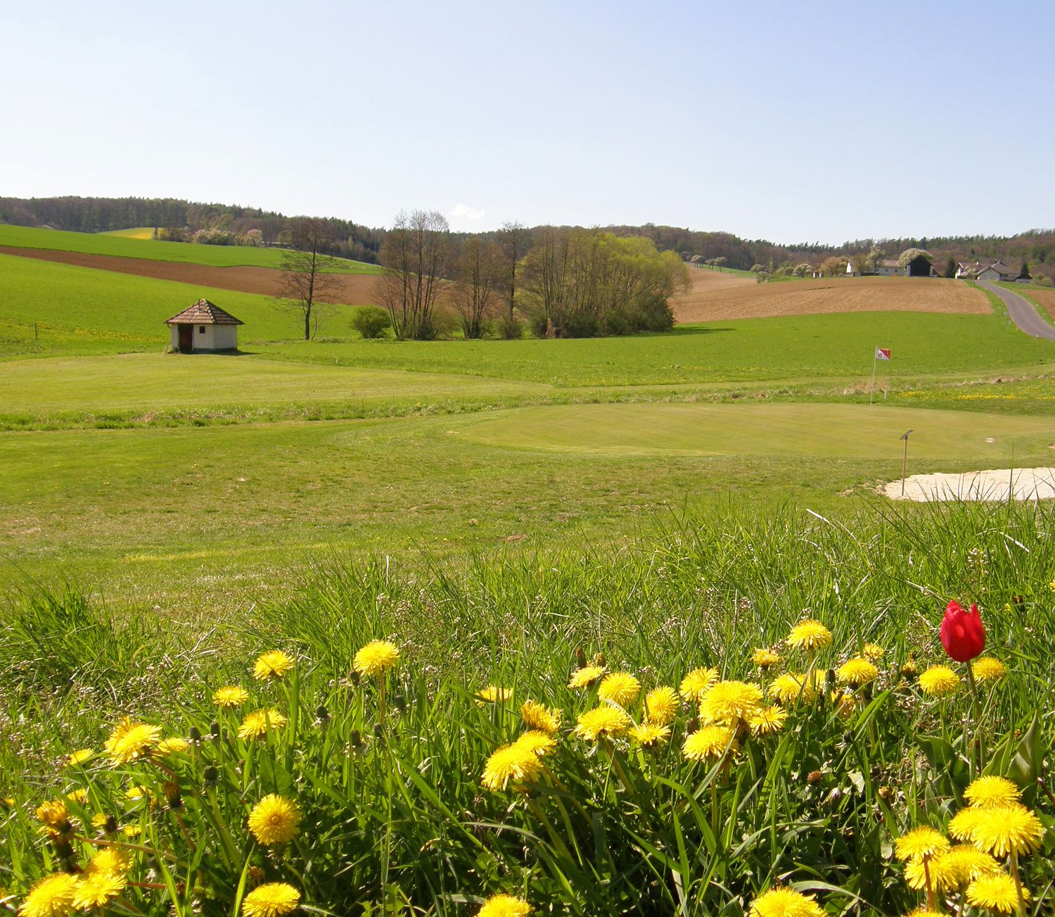 Golfpálya virágokkal az előtérben és zászlóval a zöldön.