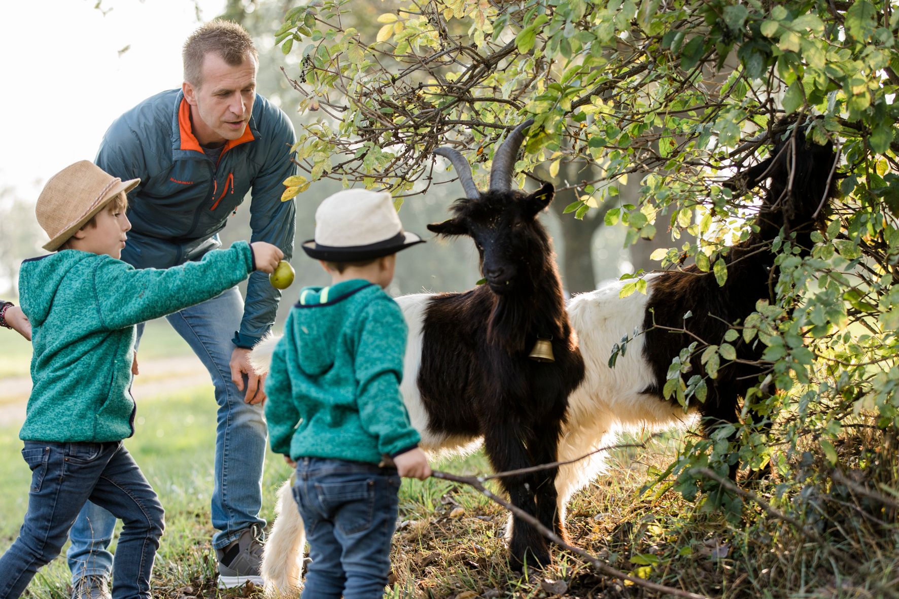 Biofarm Linden