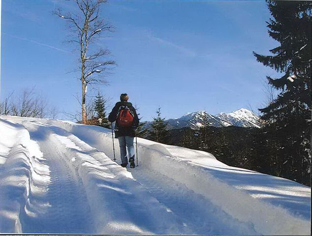 Téli túra a Turistaházhoz