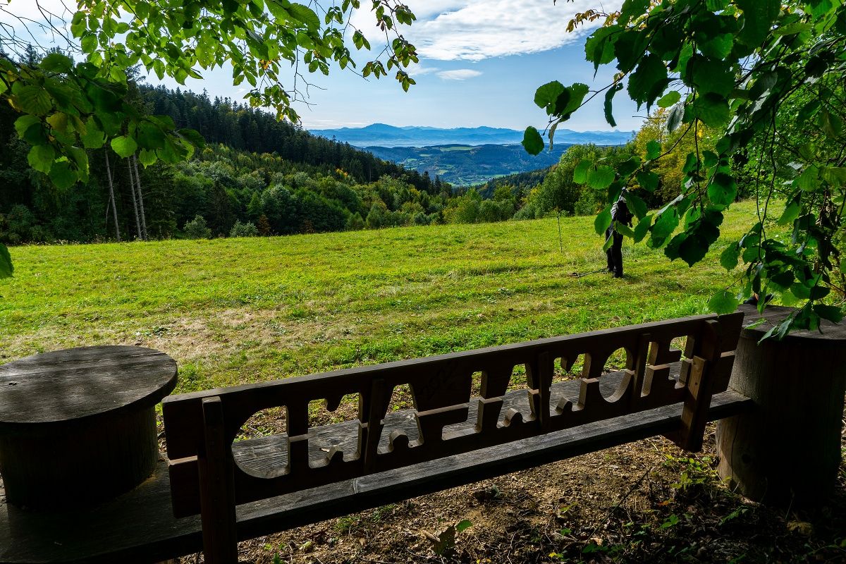 Kilátás vissza az Elő-Alpokra Strassreith előtt