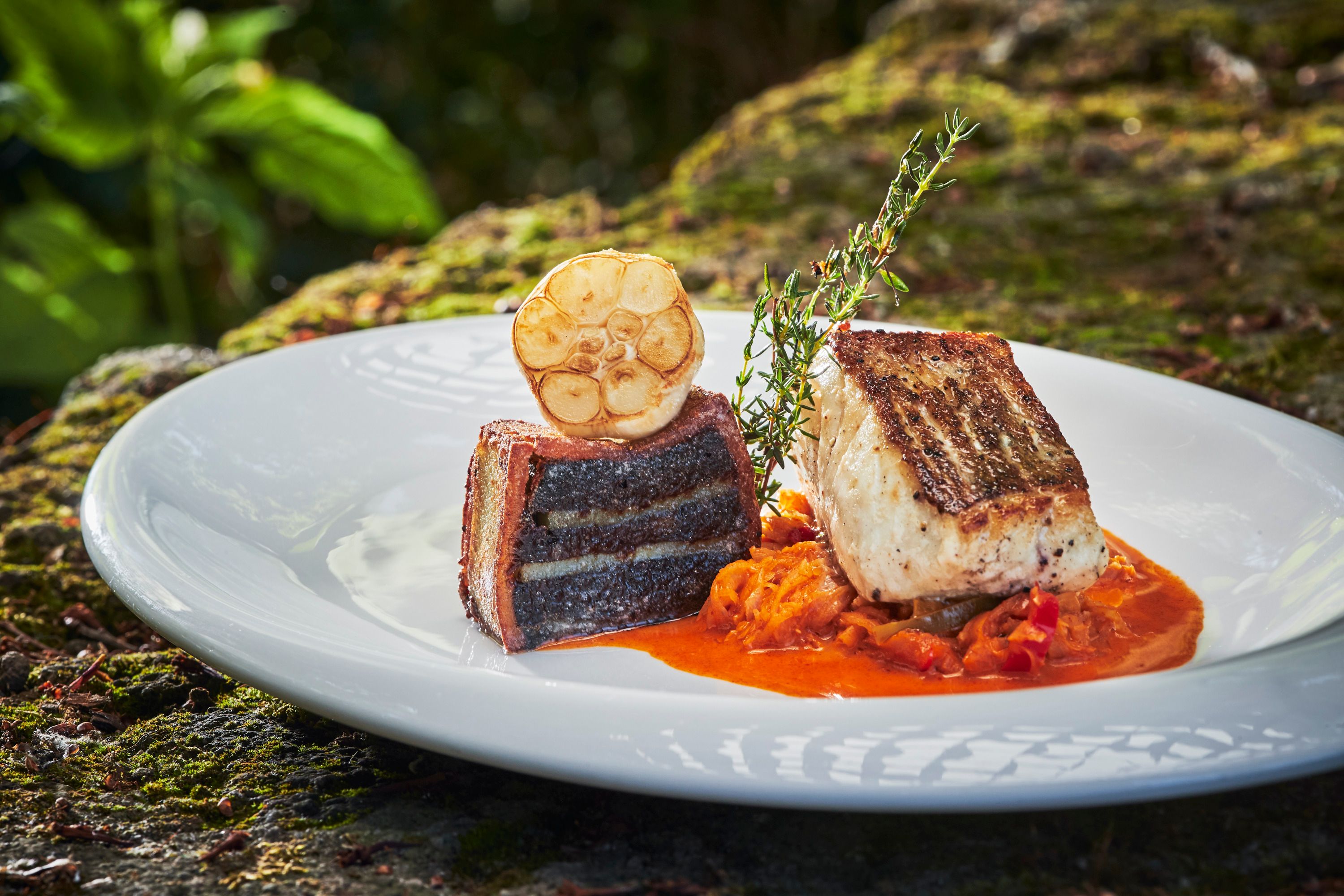 Zanderfilet auf pikantem Kraut und Bluzenterrine